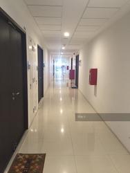 Vertex (D14), Factory #111581182